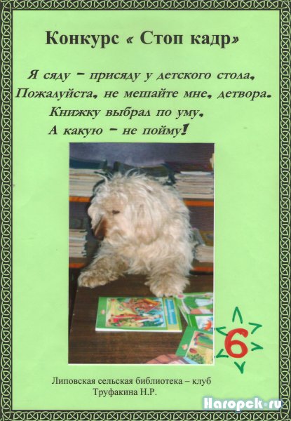 С книгой наедине конкурс Нагорской библиотеки